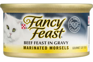 Fancy Feast Gourmet Cat Food Beef Feast In Gravy