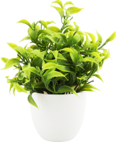 Рослини штучні зелені у горщику 18*12см в асортименті