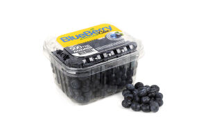Лохинa BlueBerry Club