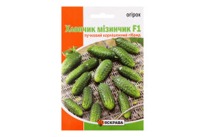 Насіння Огiрок Хлопчик мізинчик F1 2,5г Яскрава