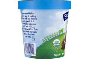 Stonyfield Organic Frozen Nonfat Yogurt After Dark Chocolate