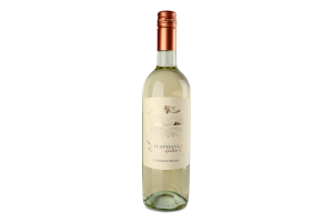 Вино 0.75л 12% белое сухое Chardonnay I Castelli бут