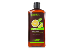 Шампунь для нормальных и жирных волос Mint&Lemon Intra 250мл