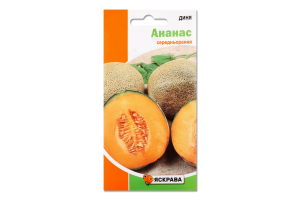Насіння Диня Ананас 2г Яскрава