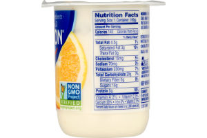 Dannon Whole Milk Yogurt Orange Cream