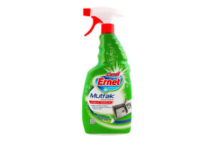 Засіб д/чищення кухні 750мл спрей Ernet
