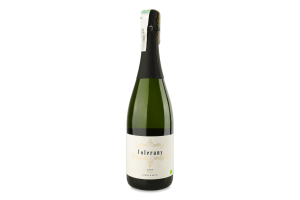 Вино игристое 0.75л 11.5% белое брют органическое Cava Volerany бут