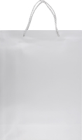 Пакет подарочный серебро 30х40х12см №CSPB009 Greenwich Products Co. Limited 1шт