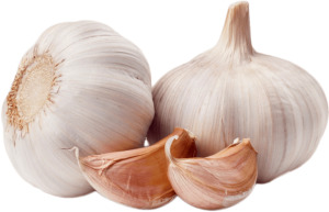 Часник ваговий