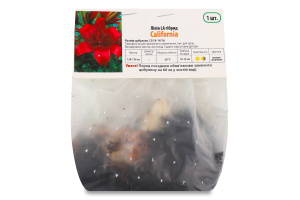 АКЦІЯ Цибулина Лілія ЛА Каліфорнія гібрид Яскрава