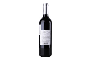 Вино 750мл 13.5% красное сухое Chateau Testelle бут