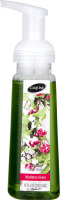 CareOne Foaming Hand Soap Mistletoe Kisses
