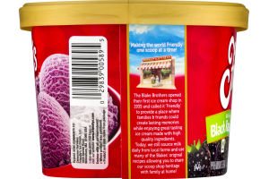 Friendly's Premium Ice Cream Black Raspberry