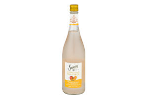 Sauza Sparkling Margarita Mango Peach