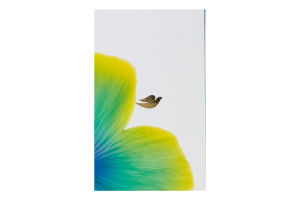 Набор Крем для рук Вдохновляющий 75мл + Антиперспирант шариковый Груша и алоэ вера 50мл Вдохновение и свежесть Dove 2шт