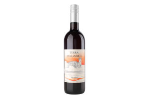 Вино 0.75л 10.5% червоне напівсолодке Rosso Amabile Terra Italianica пл