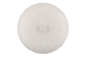 Тарілка обідня скло 26,5см