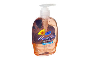 CareOne Light Moisturizing Antibacterial Hand Soap