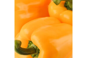 Перець Гордій жовтий