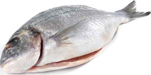 Дорада 400-600 потрошеная чищенная размороженная