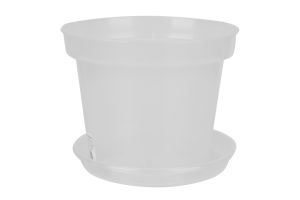 ГОРЩИК "ОРХІДЕЯ", ПРОЗОРИЙ