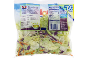 Dole Salad Classic Iceberg