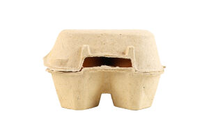 Яйця курячі харчові столові С0 Київська 10 Від доброї курки к/у 10шт