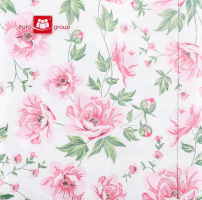 Серветки Еврогруп 20 шт. 33*33 3-х шар. Кантрі 497