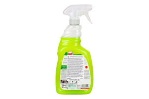 Засіб проти жиру Лимон лужний 750мл Дуал Пауер