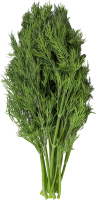 Укроп свежий пучок