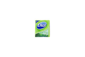 Dial All Day Freshness Mountain Fresh Antibacterial Deodorant Soap Bars - 3 CT