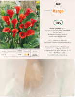 Цибулина Калла Манго Яскрава