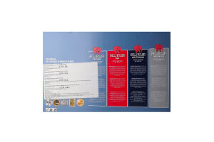 Пиво Delirium Discovery Pack 4*0,33л +келих 330мл