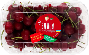 Вишня свежая Ековіста 1с п/у 500г