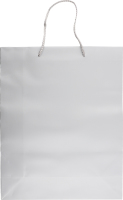 Пакет подарунковий срібний 26х32х10см №CSPB011 Greenwich Products Co. Limited 1шт