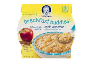 Gerber Breakfast Buddies Hot Cereal with Real Fruit Apple Cinnamon