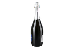 Вино ігристе 0.75л 11% біле брют DOC Prosecco Alberto Ruffini пл