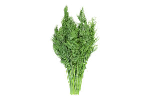 Укроп пучек