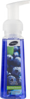 CareOne Foaming Hand Soap Fresh Picked Blueberries