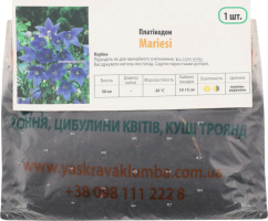 Кореневище Платикодон Mariesii Яскрава