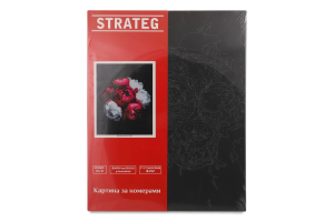 Набір д/розпису по номерах Квіти на чорному фоні 40*50см Стратег