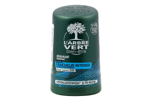 Дезодорант для мужчин с провитамином В5 L'arbre Vert 50мл