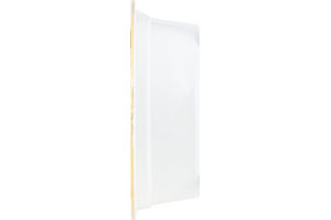 Companion Gourmet Food for Dogs Grilled Chicken Flavor