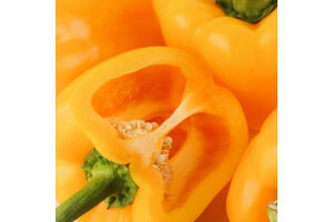 Перець Гордій жовтий