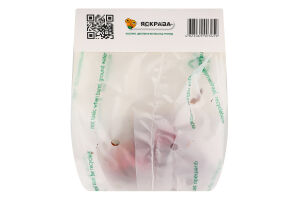 Цибулина Гладіолус Блек Вельвет 3шт Яскрава