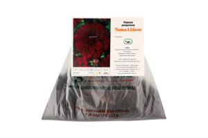 Бульба Жоржина Томас Едісон декоративна Яскрава