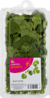 Ahold Cilantro