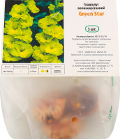 Цибулина Гладіолус Грін Стар 3шт Яскрава