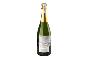 Вино ігр Domaine Anne Gros La Fun en Bulles PN/Chr