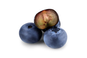 Лохина Orniberry